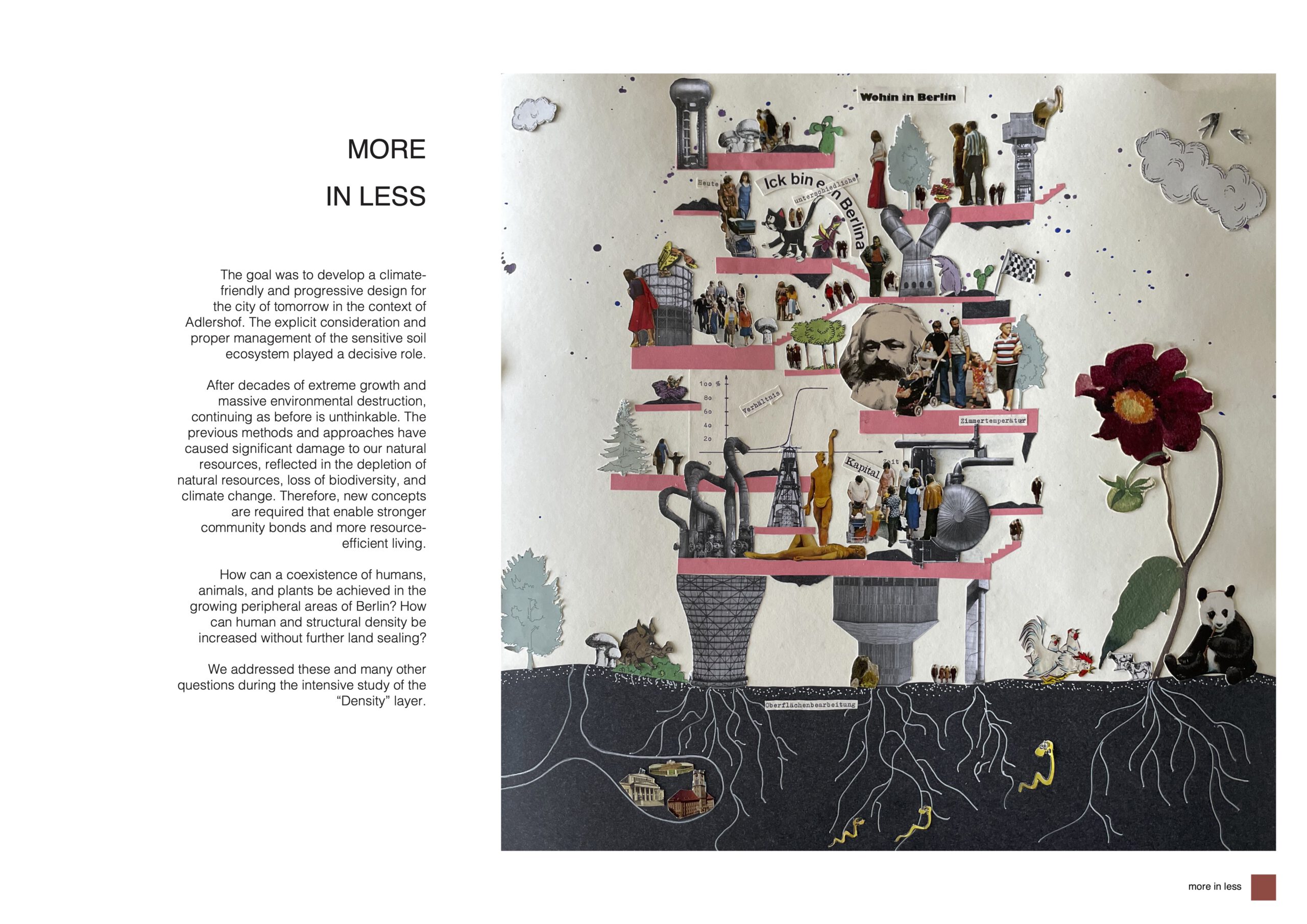 01_DEN_Template_atlas