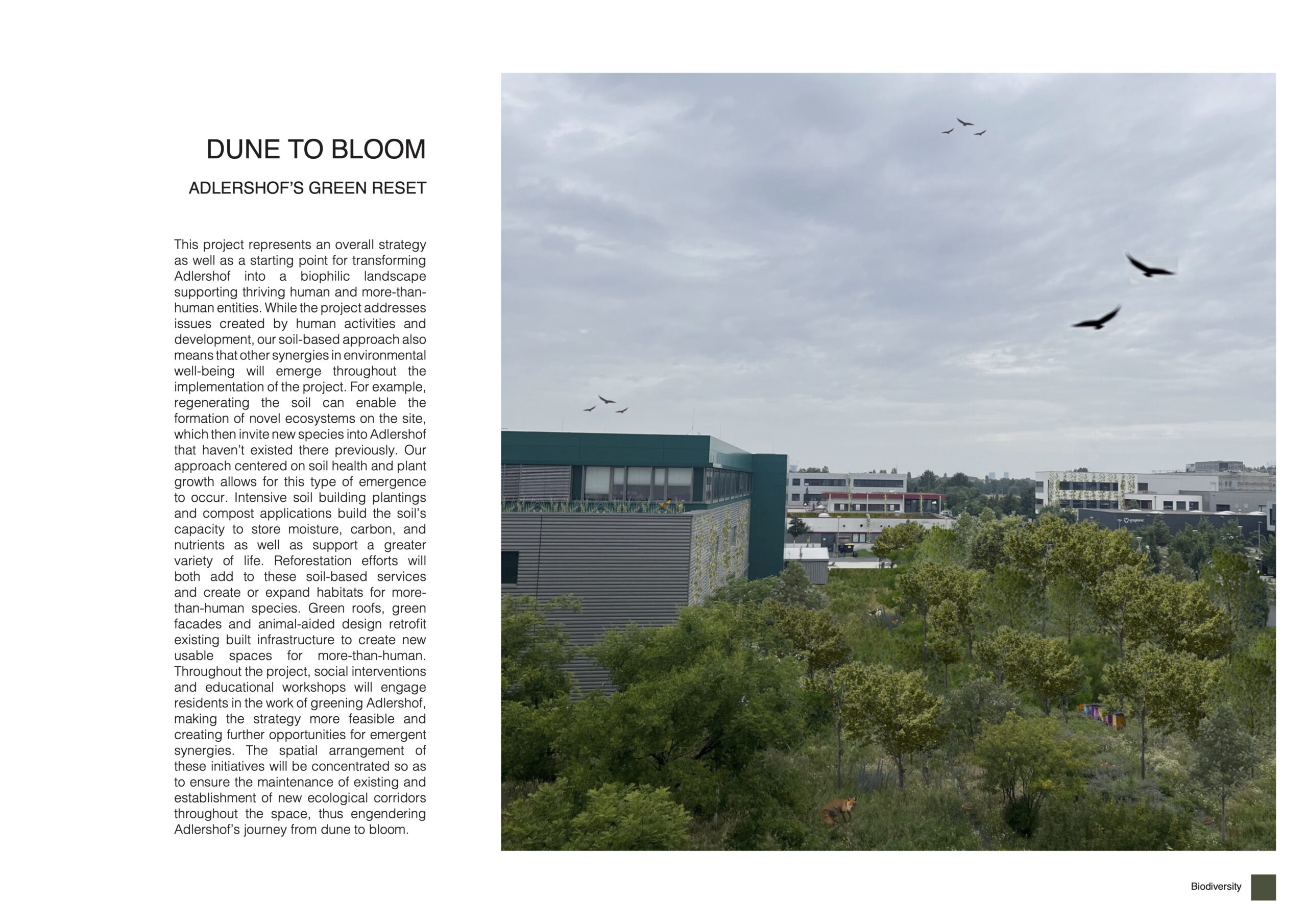 04_BIODIVERSITY_ENDABGABE