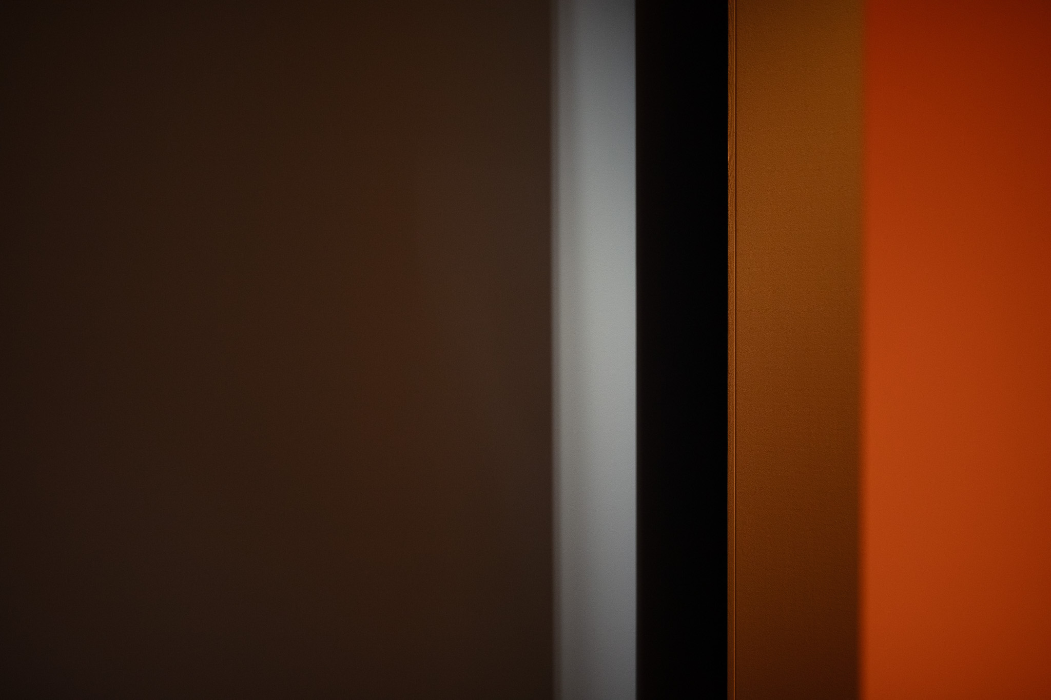 1I7A6225