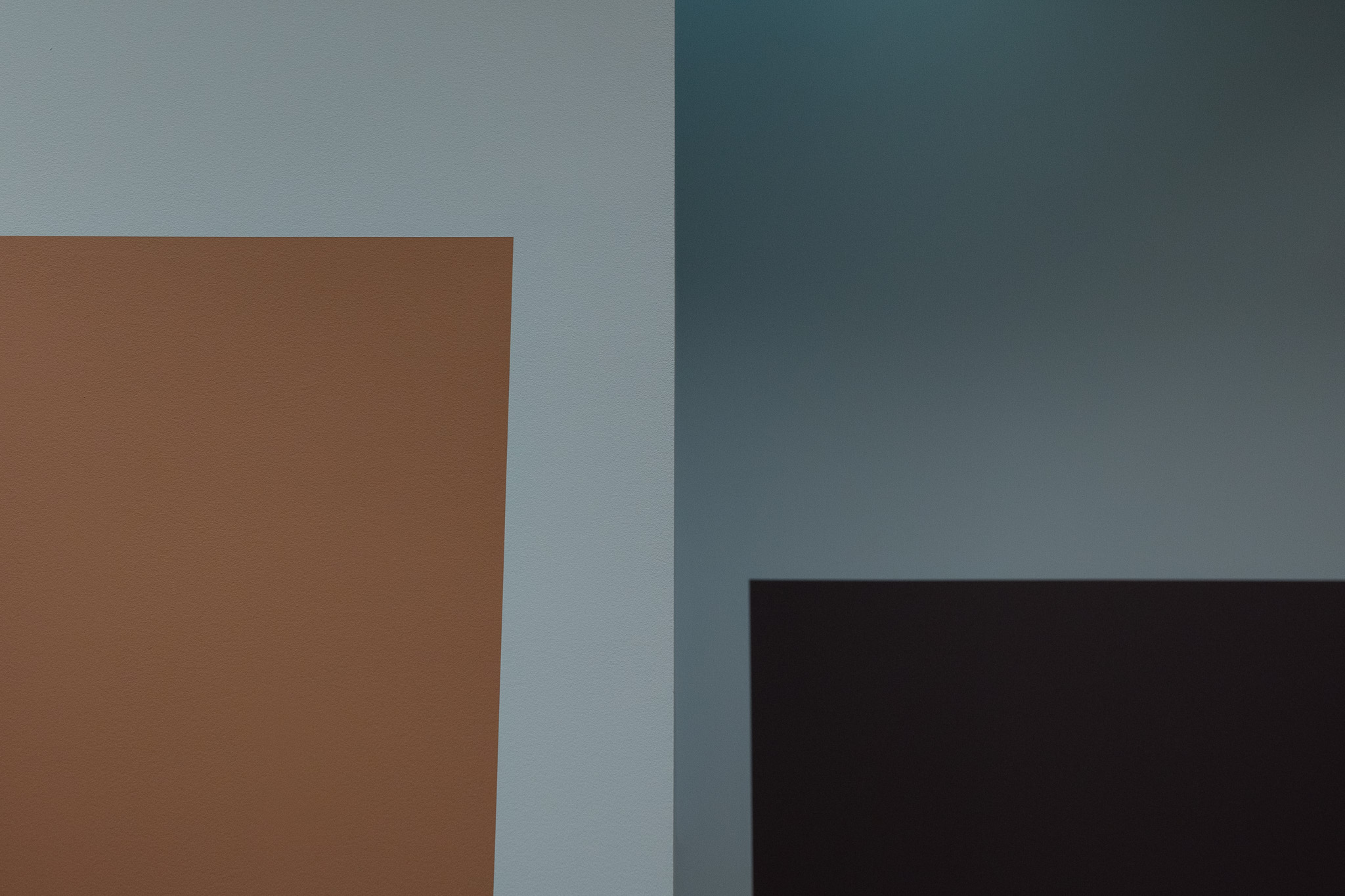 1I7A6255