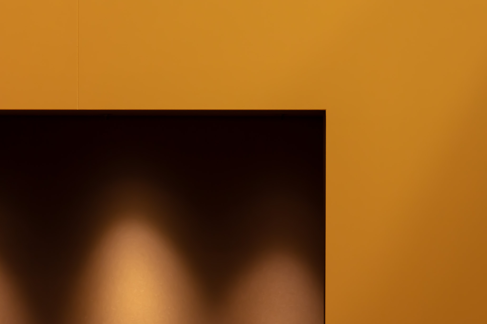 1I7A6276