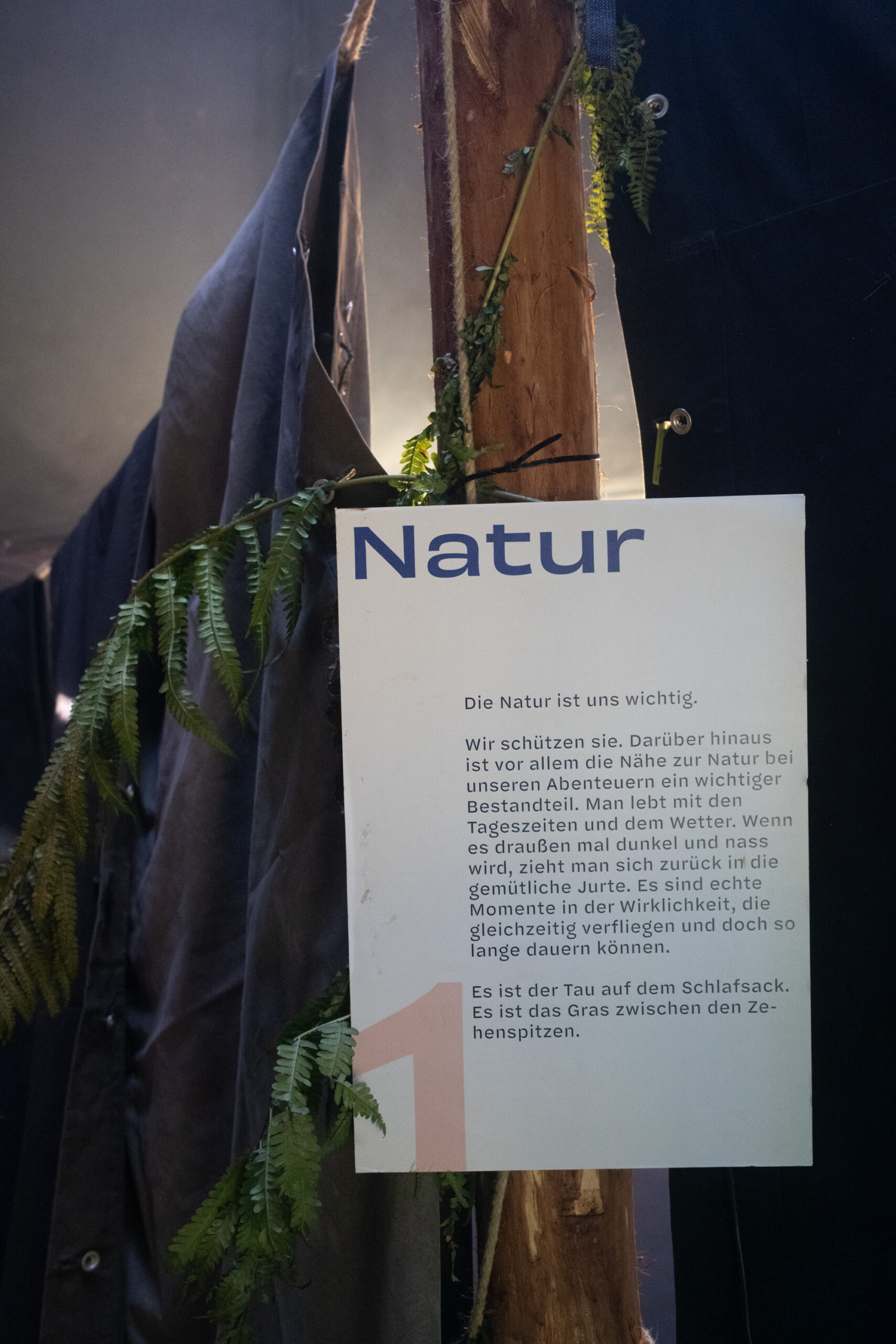 251003_TdDE_Pfadi Pfad Ausstellung